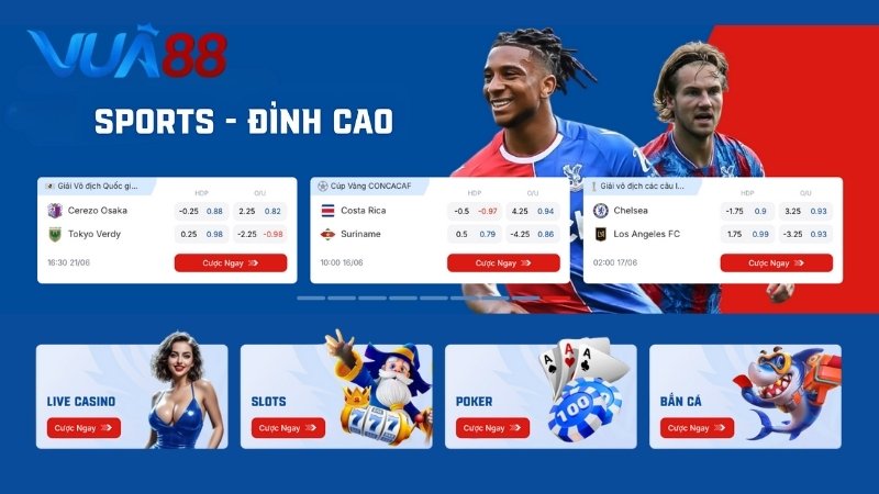 Nhà cái thể thao ra mắt thị trường năm 2017 tại UAE